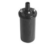 Бобина BAEQ056 MAGNETI MARELLI